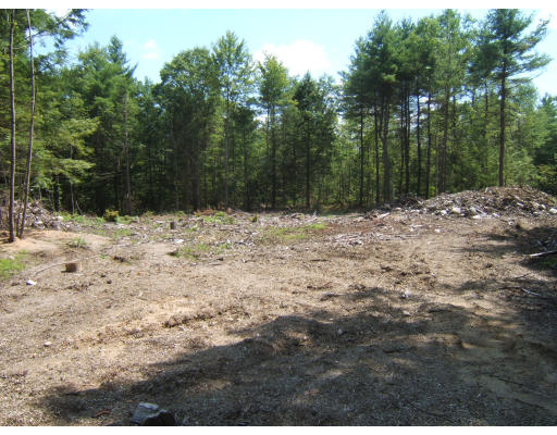 Lot 5 Cut-off Road Barre, MA 01005 - Photo 1 of 6 a view of a dry yard with trees