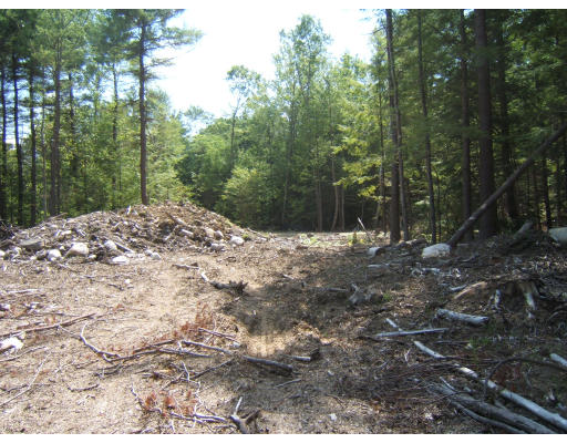 Lot 5 Cut-off Road Barre, MA 01005 - Photo 3 of 6 a view of a yard with a tree