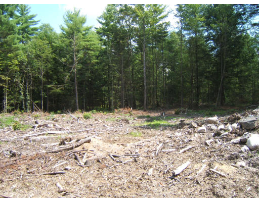 Lot 5 Cut-off Road Barre, MA 01005 - Photo 4 of 6 a backyard of a house with lots of green space