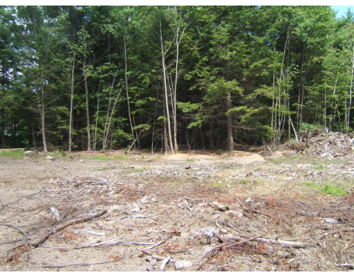 Lot 5 Cut-off Road Barre, MA 01005 - Photo 5 of 6 a backyard of a house with lots of green space