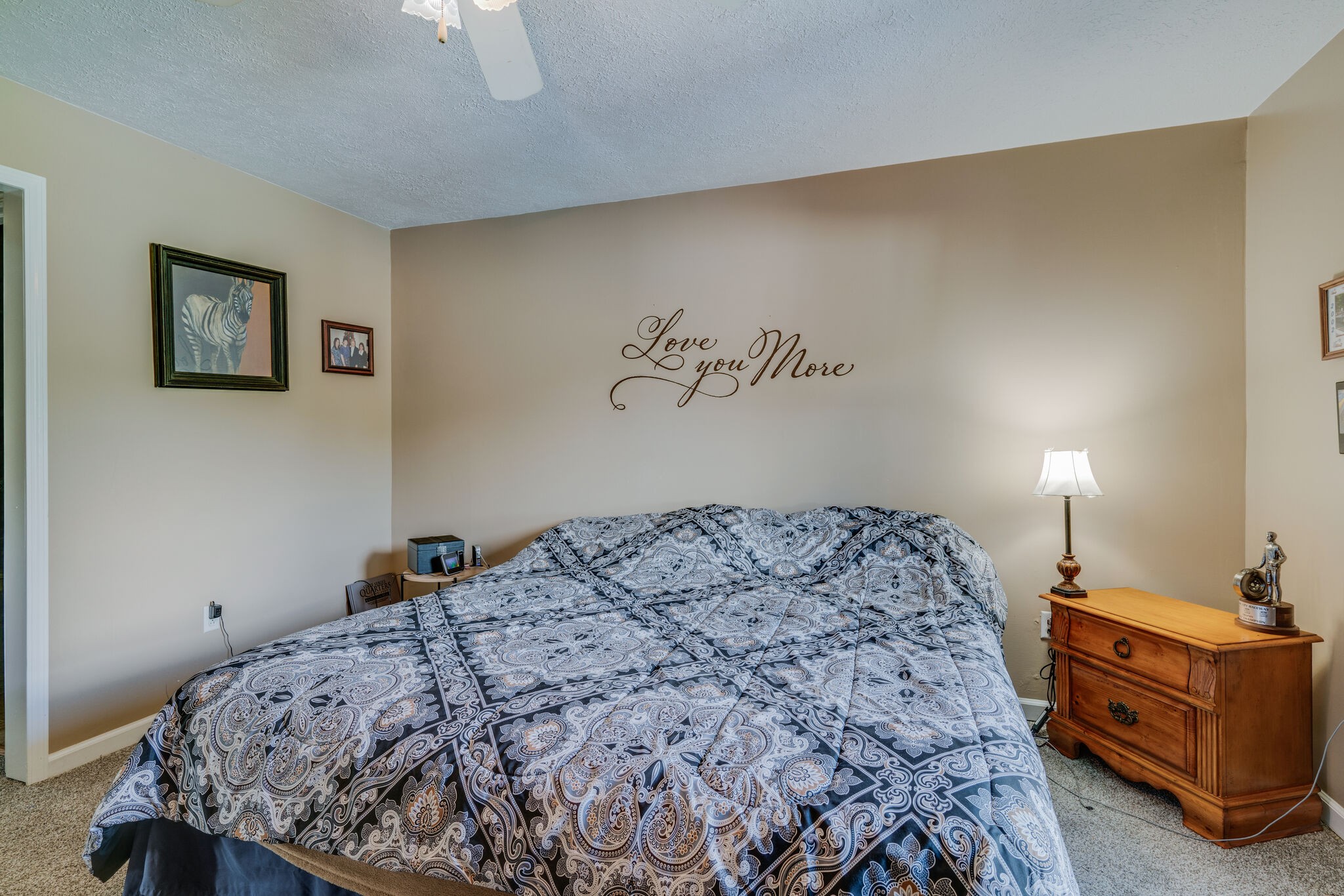 2755 Gideon Road Greenbrier, TN 37073 - Photo 17 of 30 a bedroom with a bed and a dresser