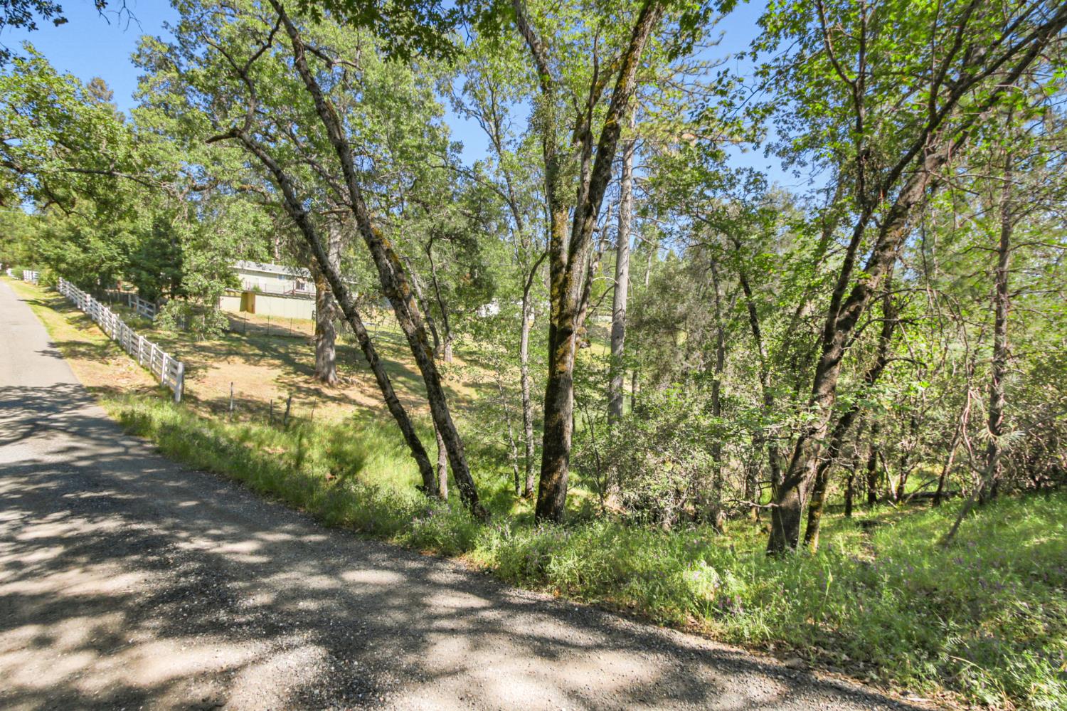 0 Hoot Owl Ravine Road Placerville, CA 95667 - Photo 5 of 20 a backyard of a house with lots of green space