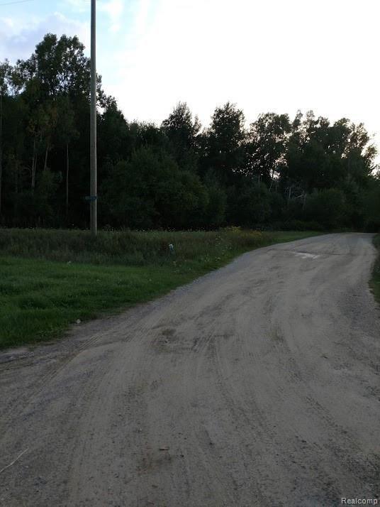 Vl Klam Road Otter Lake, MI 48464 - Photo 2 of 20