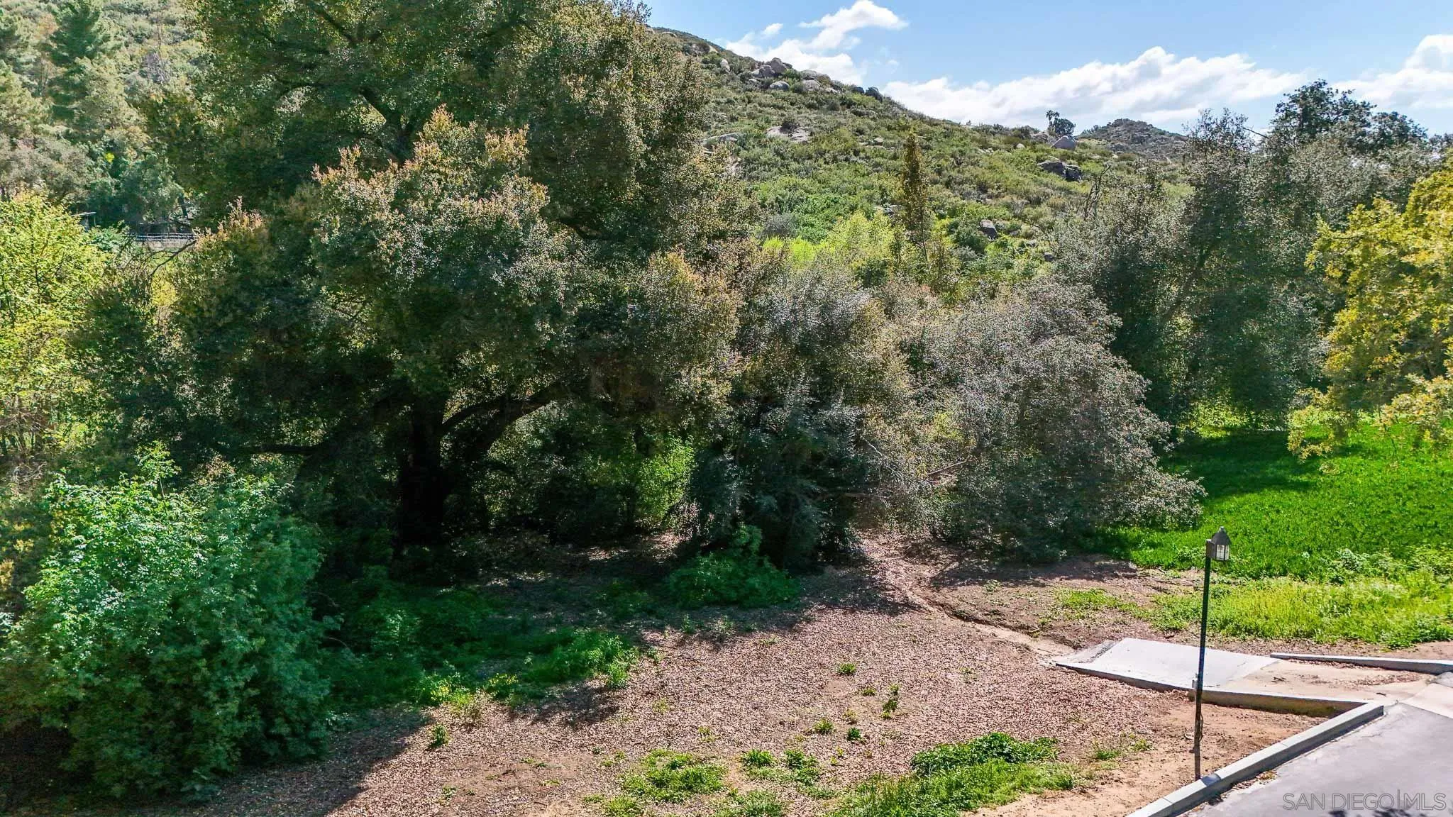 3505 Alpine Boulevard, Unit SPC 11 Alpine, CA 91901 - Photo 28 of 43 a view of a forest with a tree