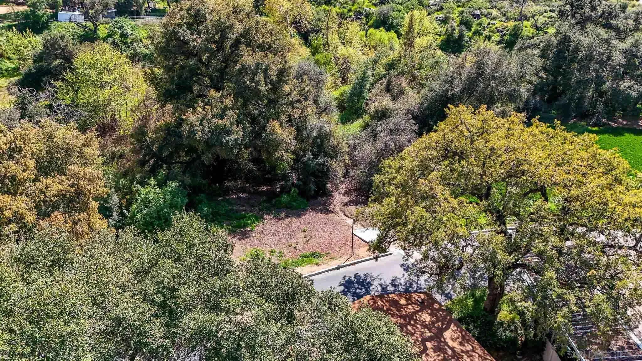 3505 Alpine Boulevard, Unit SPC 11 Alpine, CA 91901 - Photo 34 of 43 a view of a yard with plants and large trees