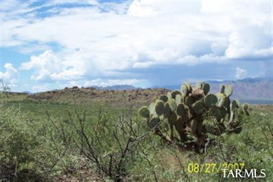 0 Rancho Cielo Rodeo, AZ 88056 - Photo 5 of 8