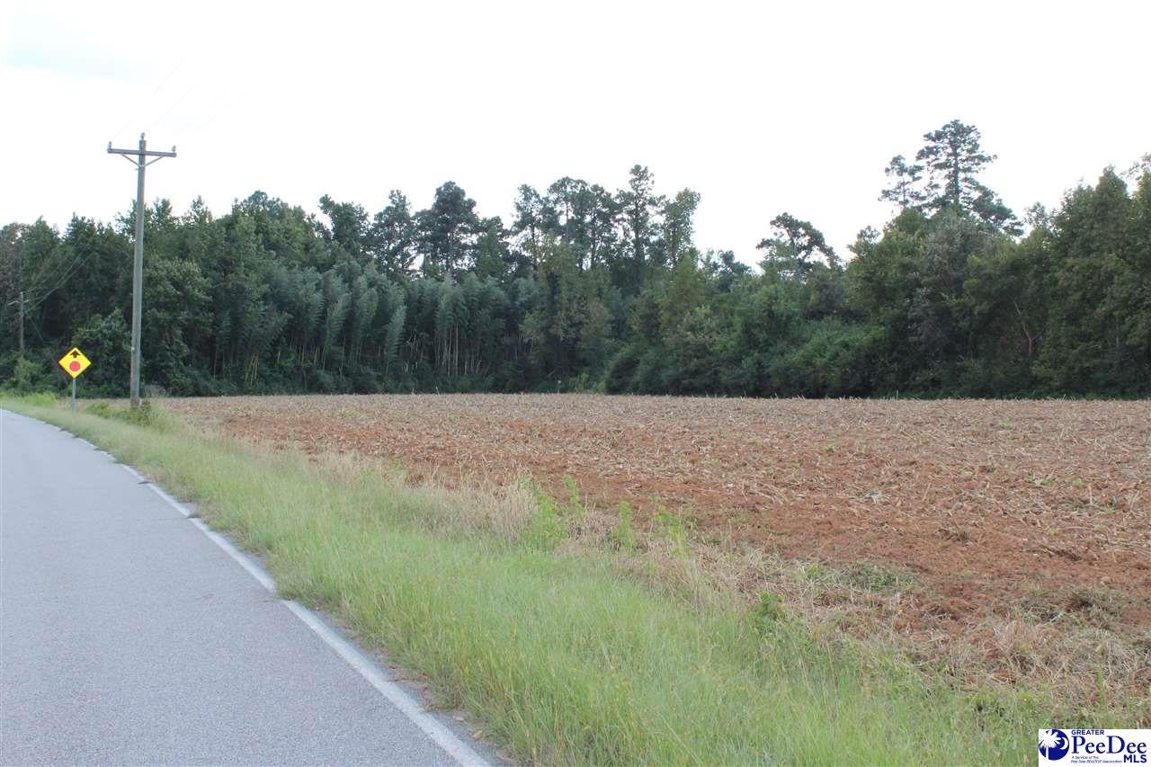 Tbd Wythe Road Marion, SC 29571 - Photo 1 of 1 Gallery Image 1