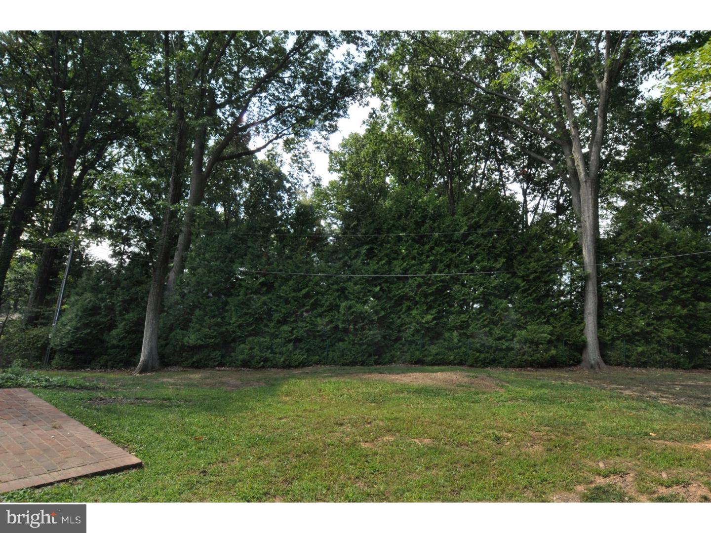 1280 Cox Road Jenkintown, PA 19046 - Photo 23 of 23 Back Yard