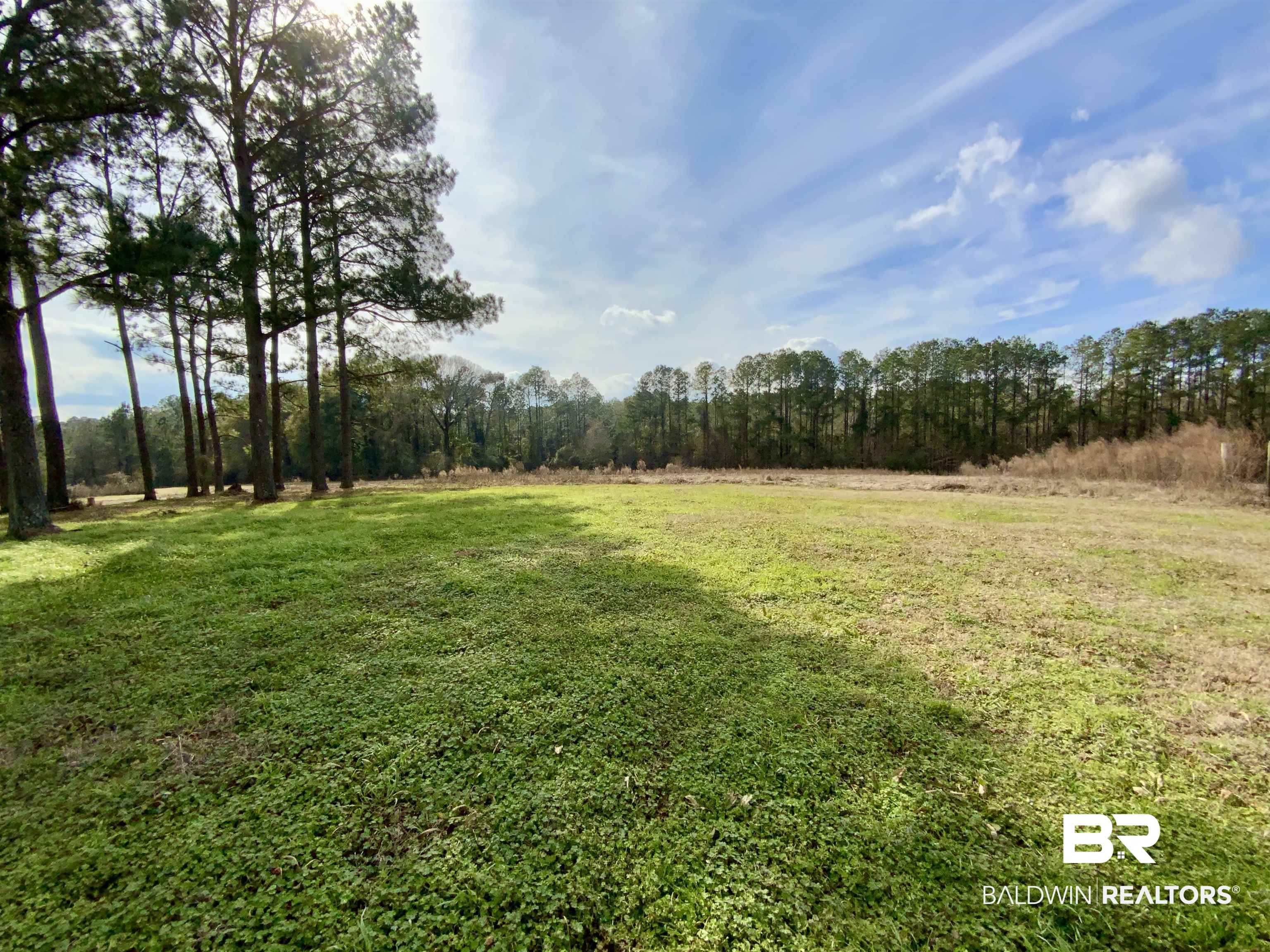 19800 Hoyle Bryars Road Perdido, AL 36562 - Photo 22 of 28 Expansive cleared land featuring a mix of green ground cover and natural grasses