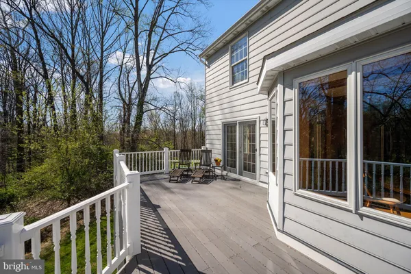 a view of a garden with plants