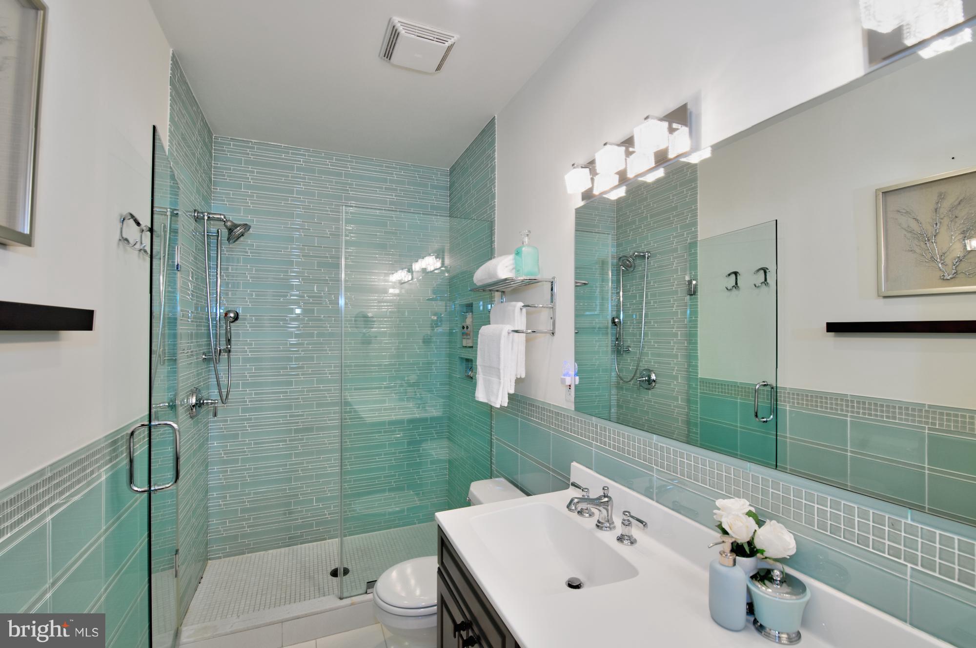 238 10th Street Northeast Washington, DC 20002 - Photo 20 of 30 a bathroom with a sink a toilet and shower