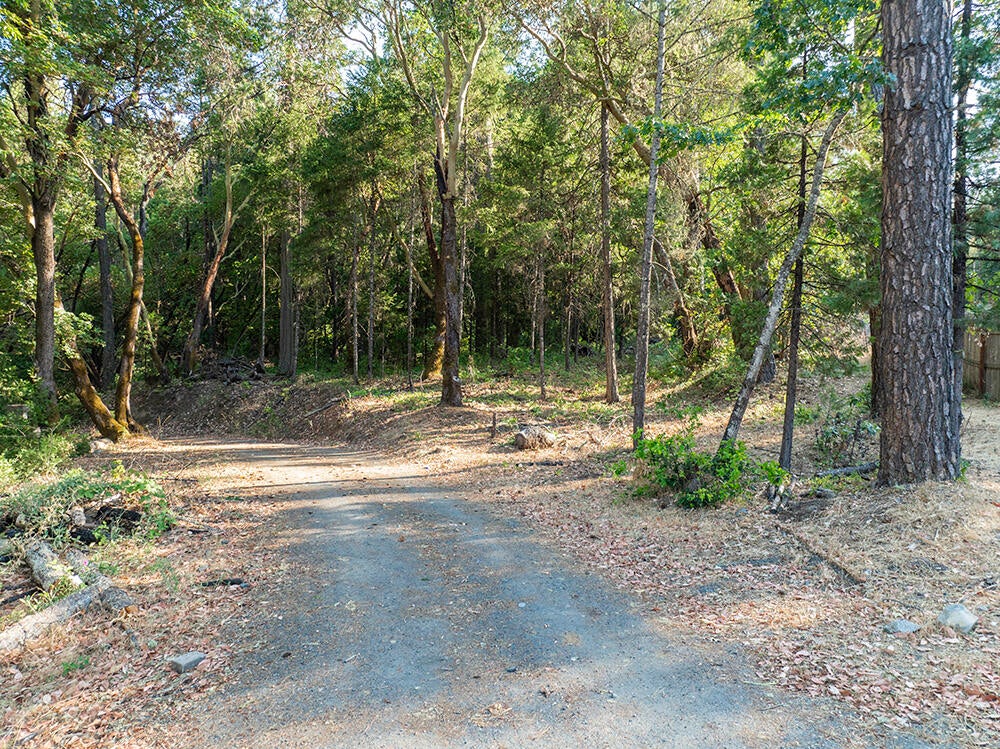 12959 Water Gap Road Williams, OR 97544 - Photo 41 of 51 44