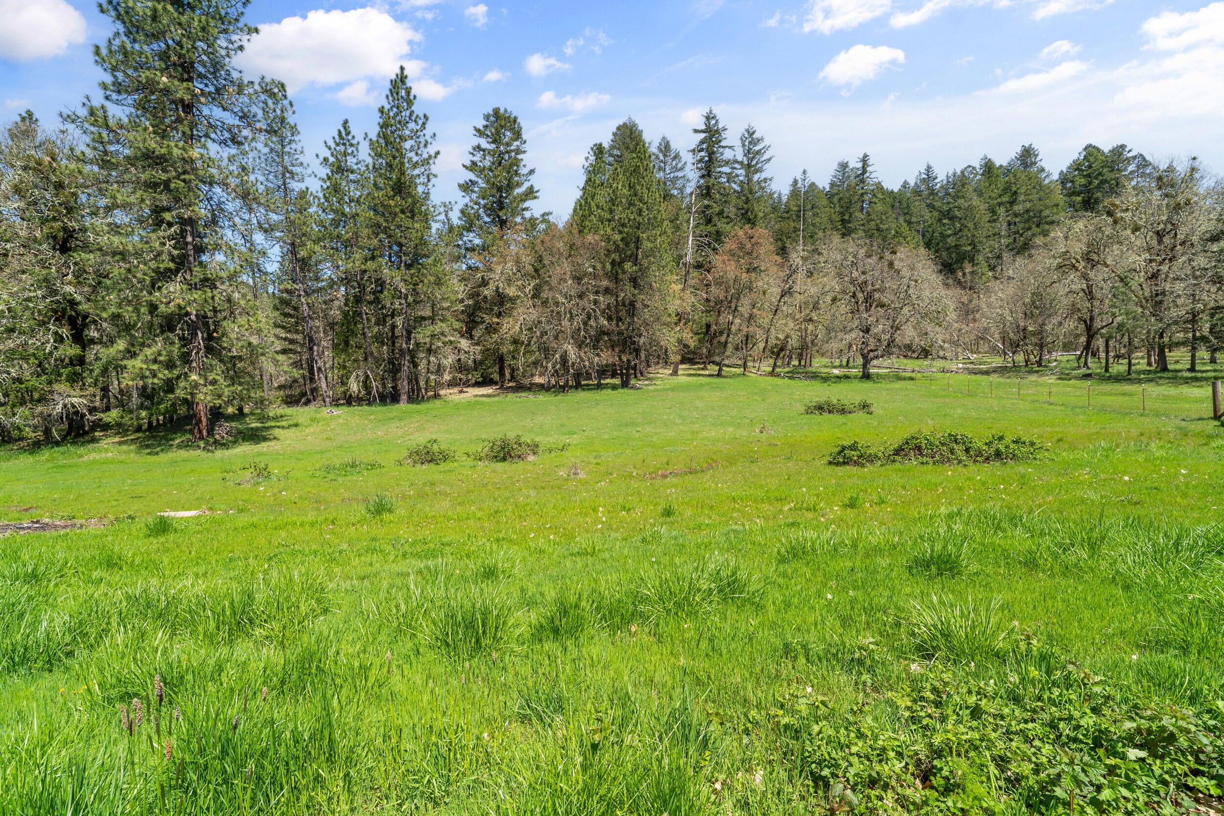 7589 Takilma Road Cave Junction, OR 97523 - Photo 42 of 54 41