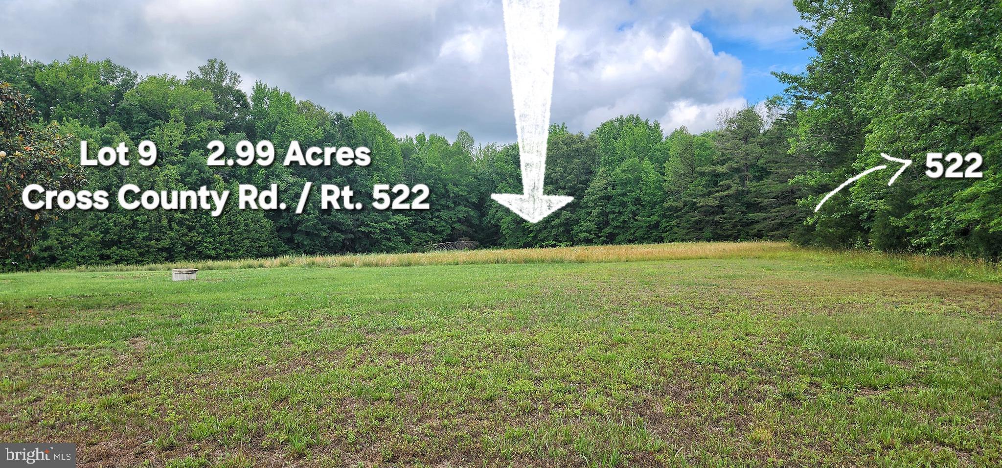 0 Cross County Road Mineral, VA 23117 - Photo 2 of 9 Gallery Image 2