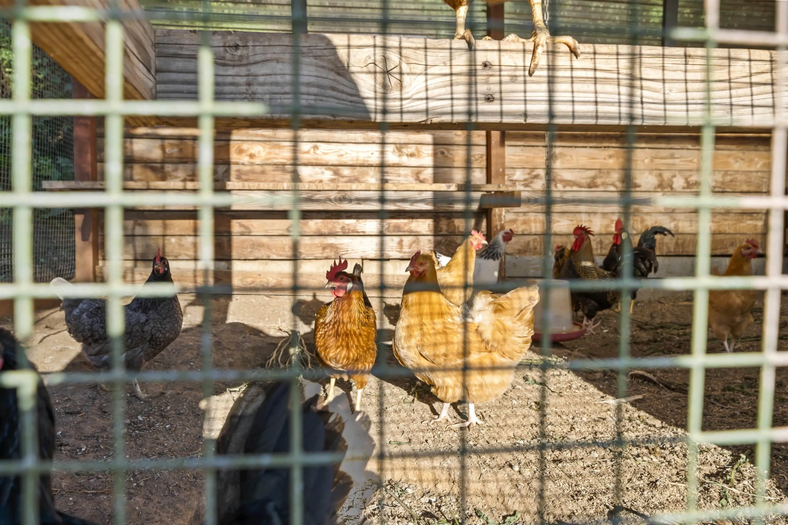16951 Old Coach Road Poway, CA 92064 - Photo 66 of 70 a picture of a glass door with glass windows