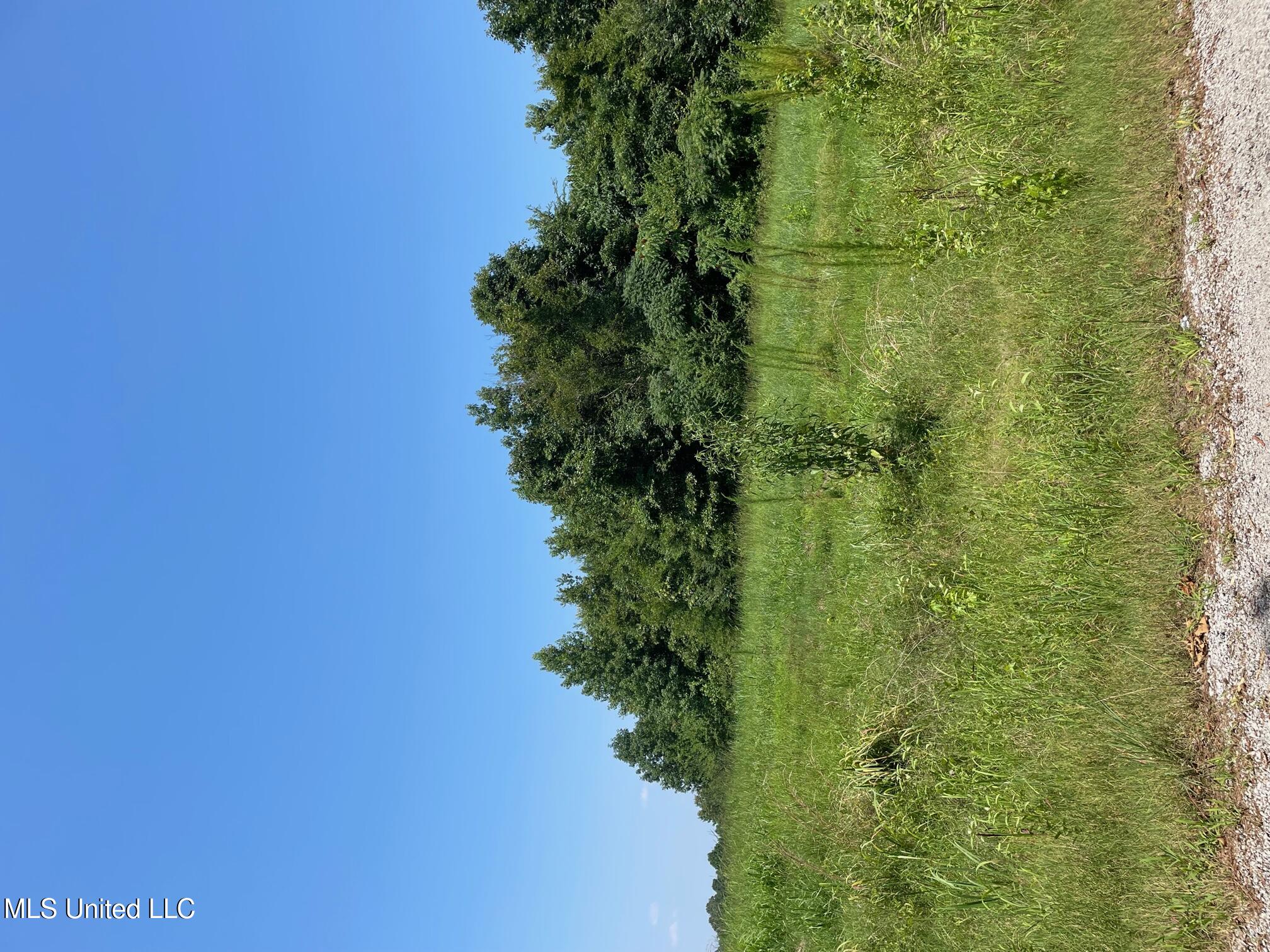 5 Bethlehem Road Batesville, MS 38606 - Photo 1 of 1 Lot 5 Hotophia Hills