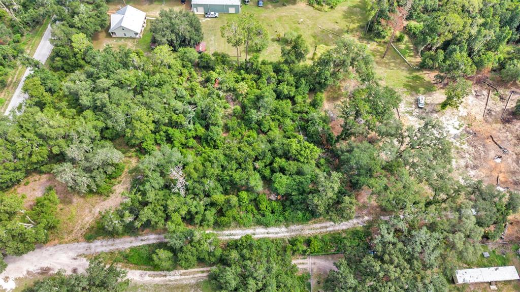 Sydney Washer Road Dover, FL 33527 - Photo 9 of 16