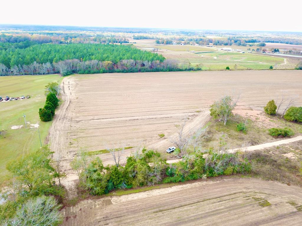 3.42-acres Summer Road Slocomb, AL 36375 - Photo 4 of 24