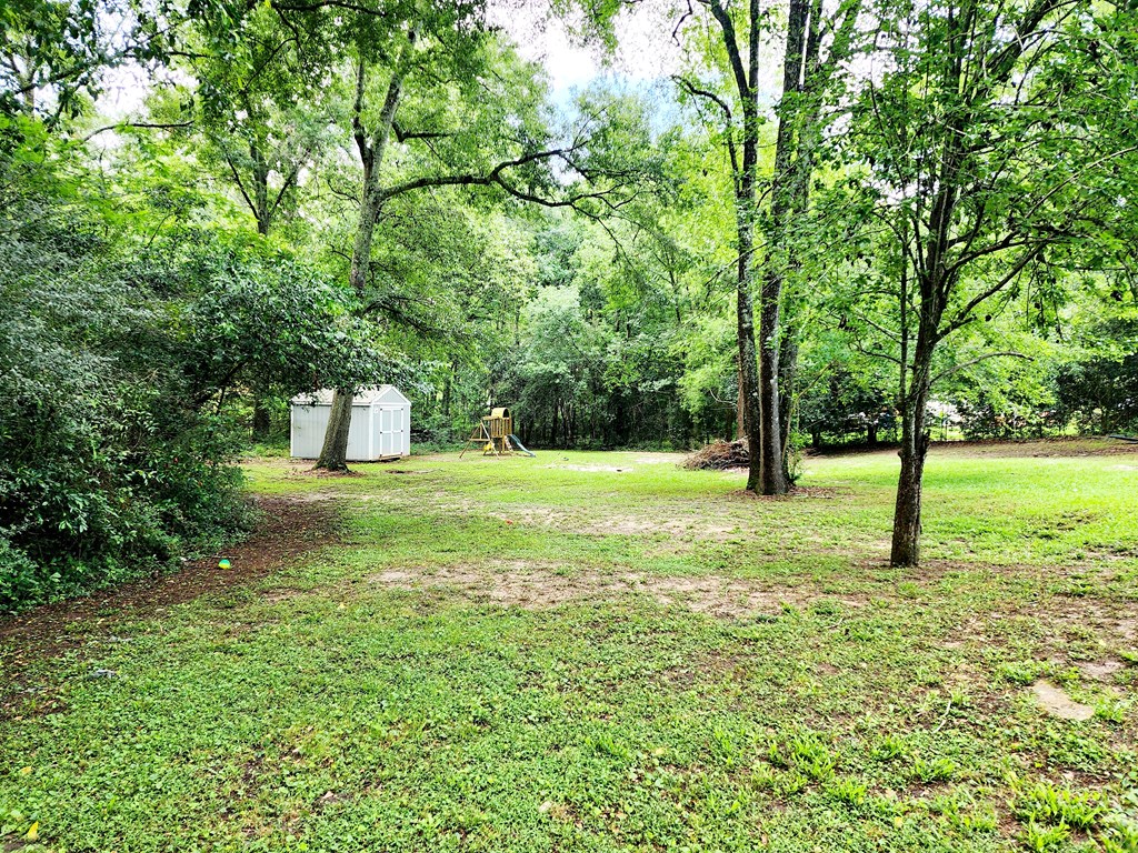 205 Meredith Street Enterprise, AL 36330 - Photo 5 of 18