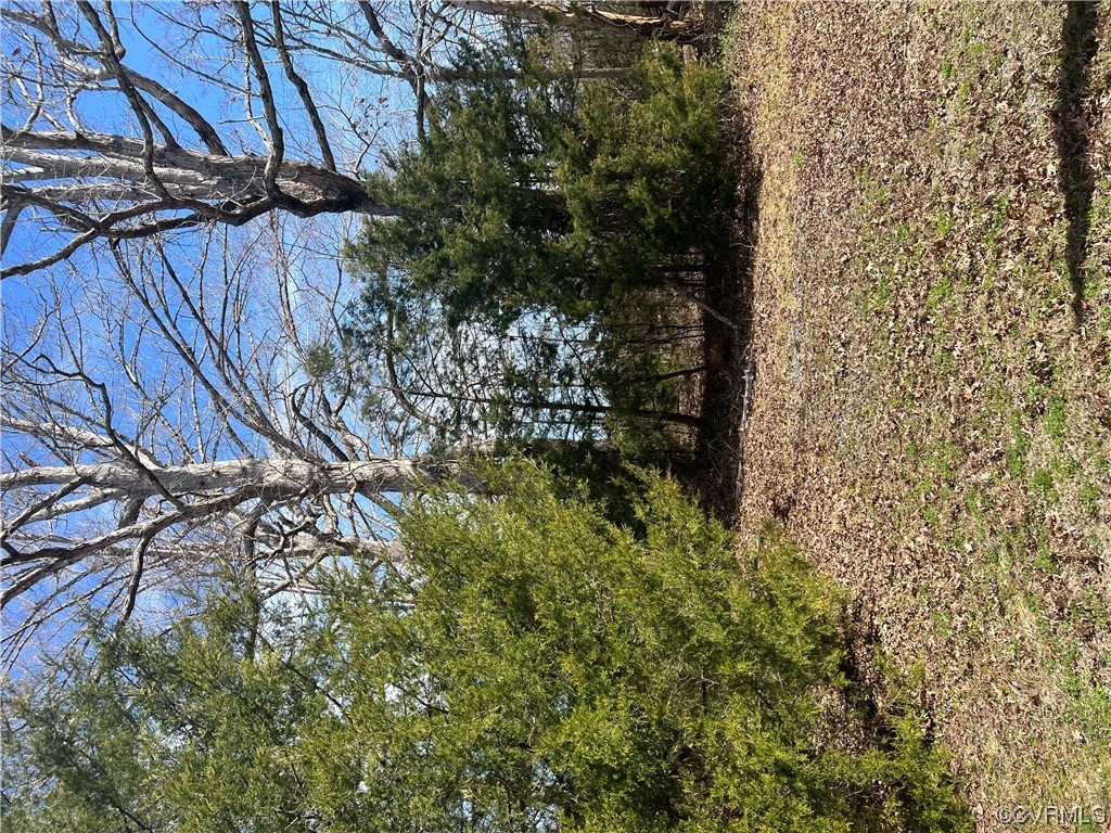 0 East Hyco Road South Boston, VA 24592 - Photo 4 of 4