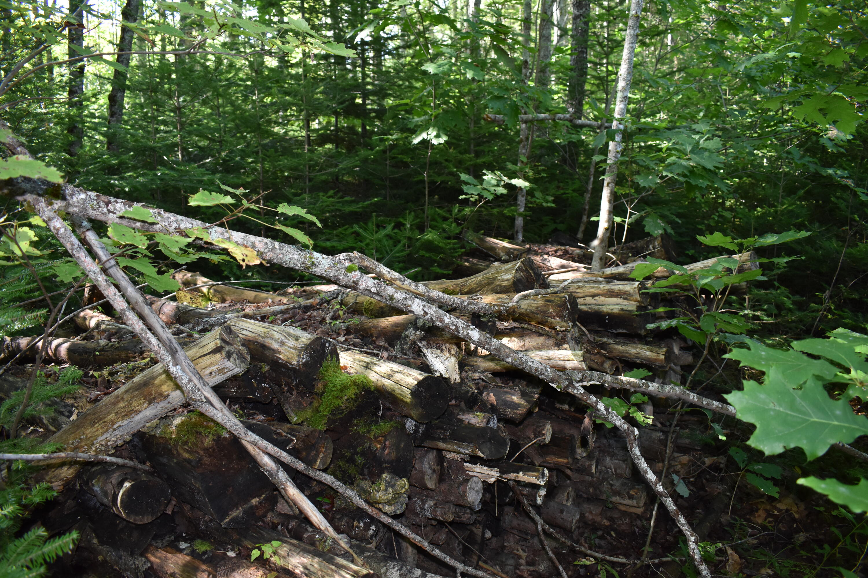 2 Edinburg Road Howland, ME 04448 - Photo 6 of 16 DSC_0237