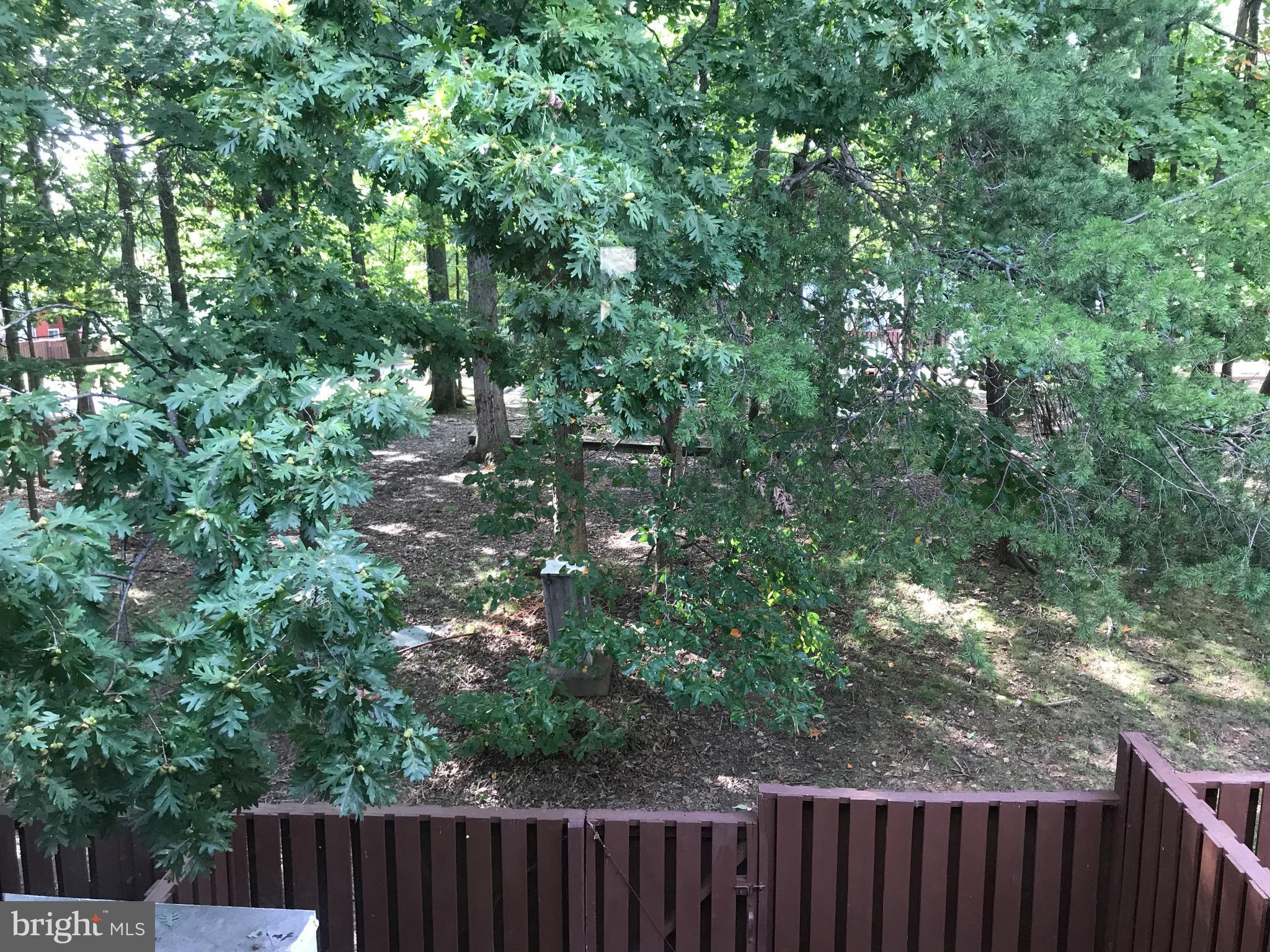 2255 Southgate Square Reston, VA 20191 - Photo 14 of 19 View - From Bedroom 1