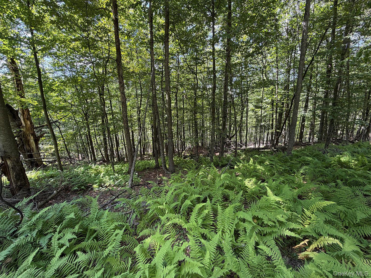 Hammer Road Hankins, NY 12736 - Photo 18 of 29 Gallery Image 18