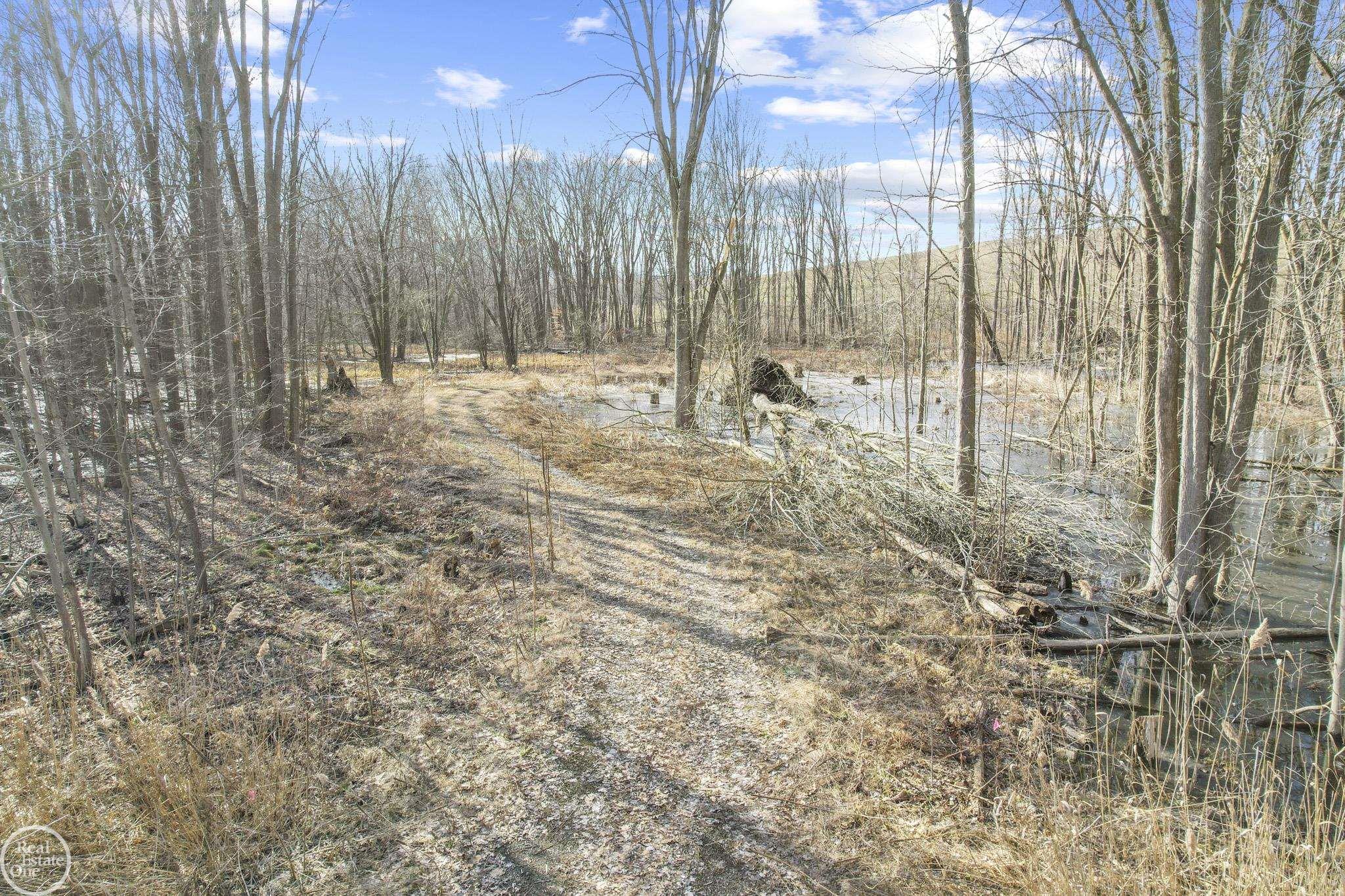 4716 County Line Road New Haven, MI 48048 - Photo 2 of 12