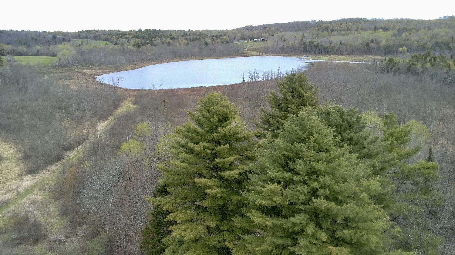 315 Molunkus Road Cornville, ME 04976 - Photo 4 of 36