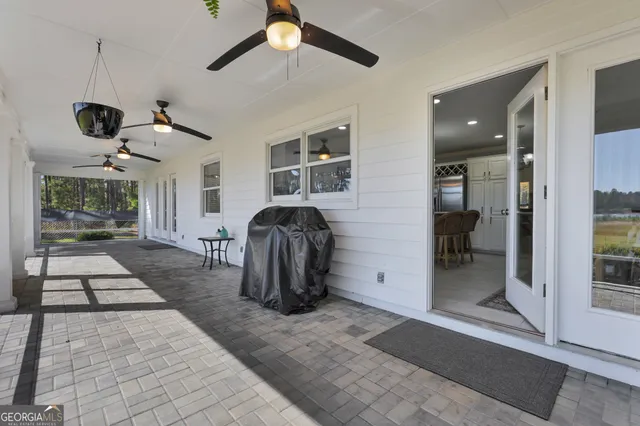 a view of a yard with plants and large trees