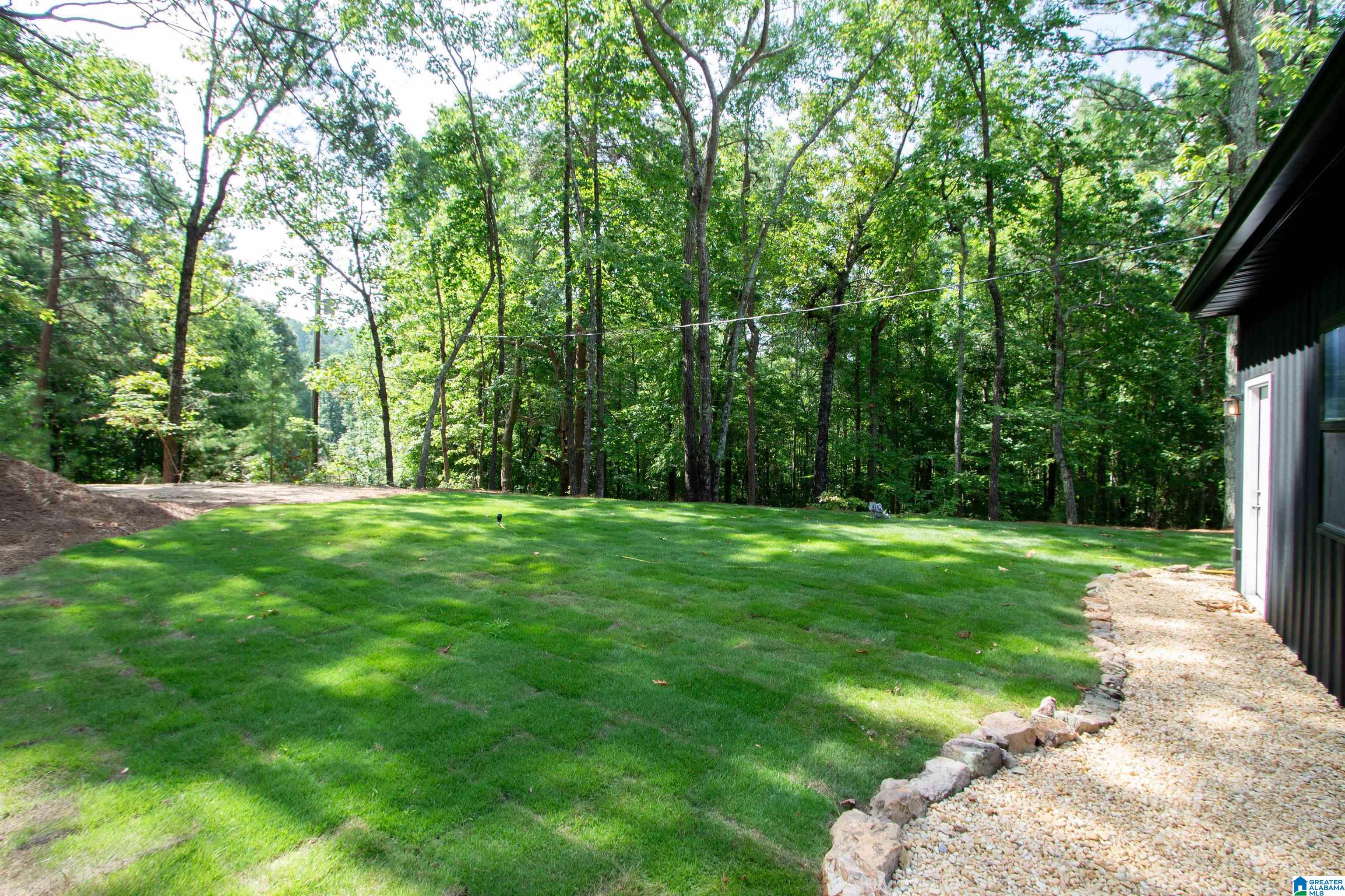 689 Beaver Creek Road Remlap, AL 35133 - Photo 46 of 64
