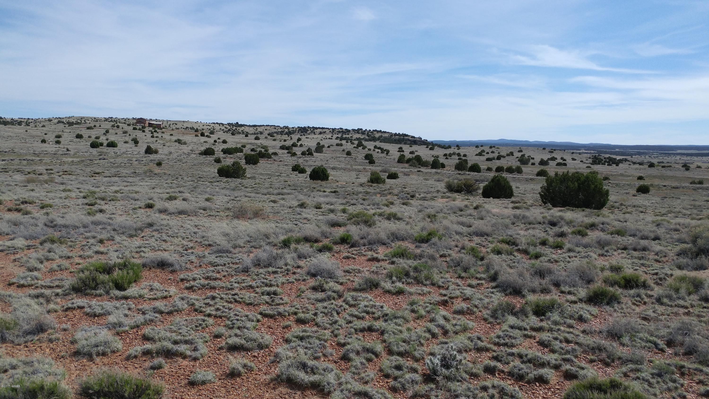 Lot 143 Meadow Way Taylor, AZ 85939 - Photo 2 of 9 a view of a dry space with lots of bushes