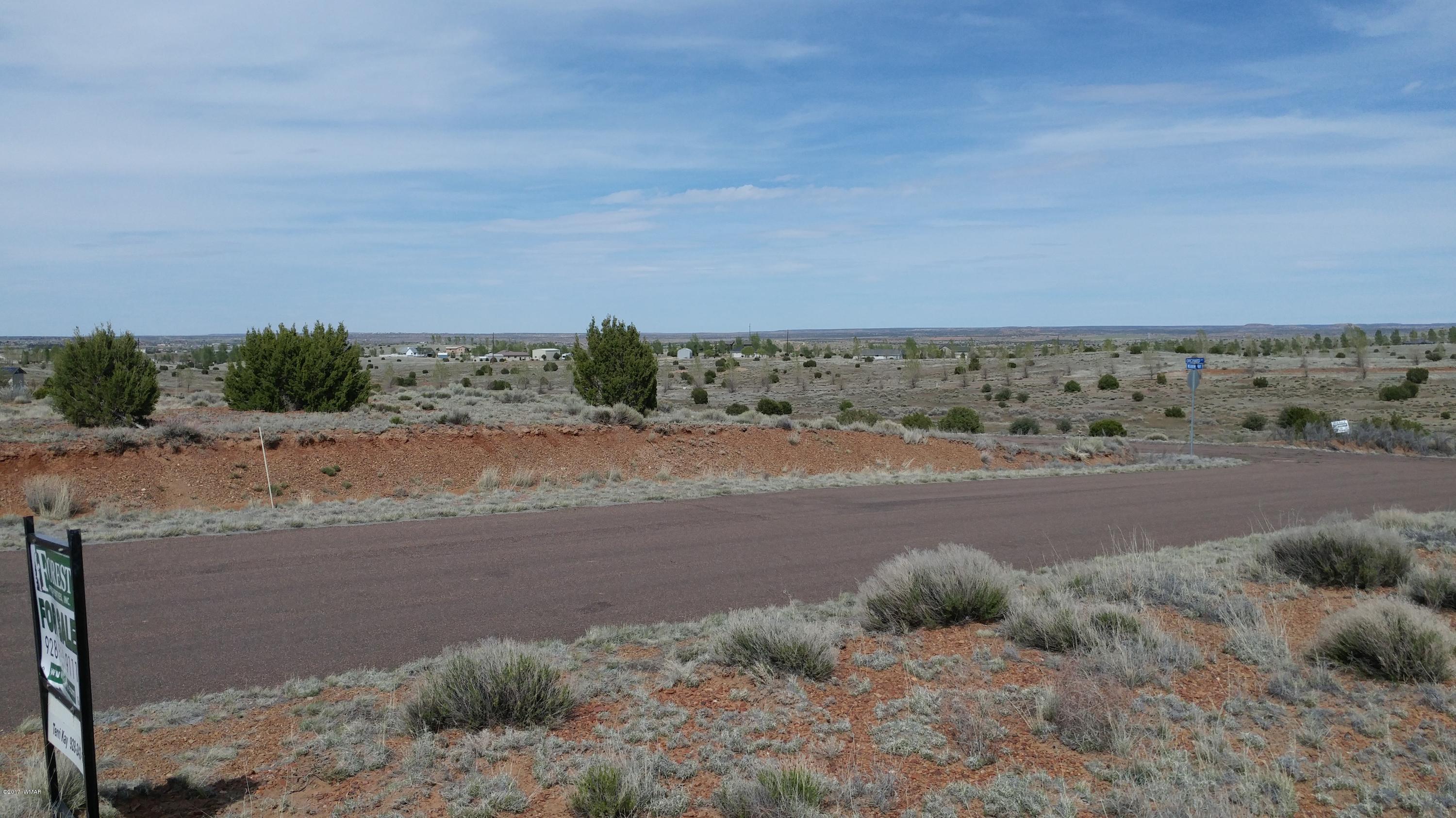 Lot 143 Meadow Way Taylor, AZ 85939 - Photo 4 of 9 a view of a road with an ocean view