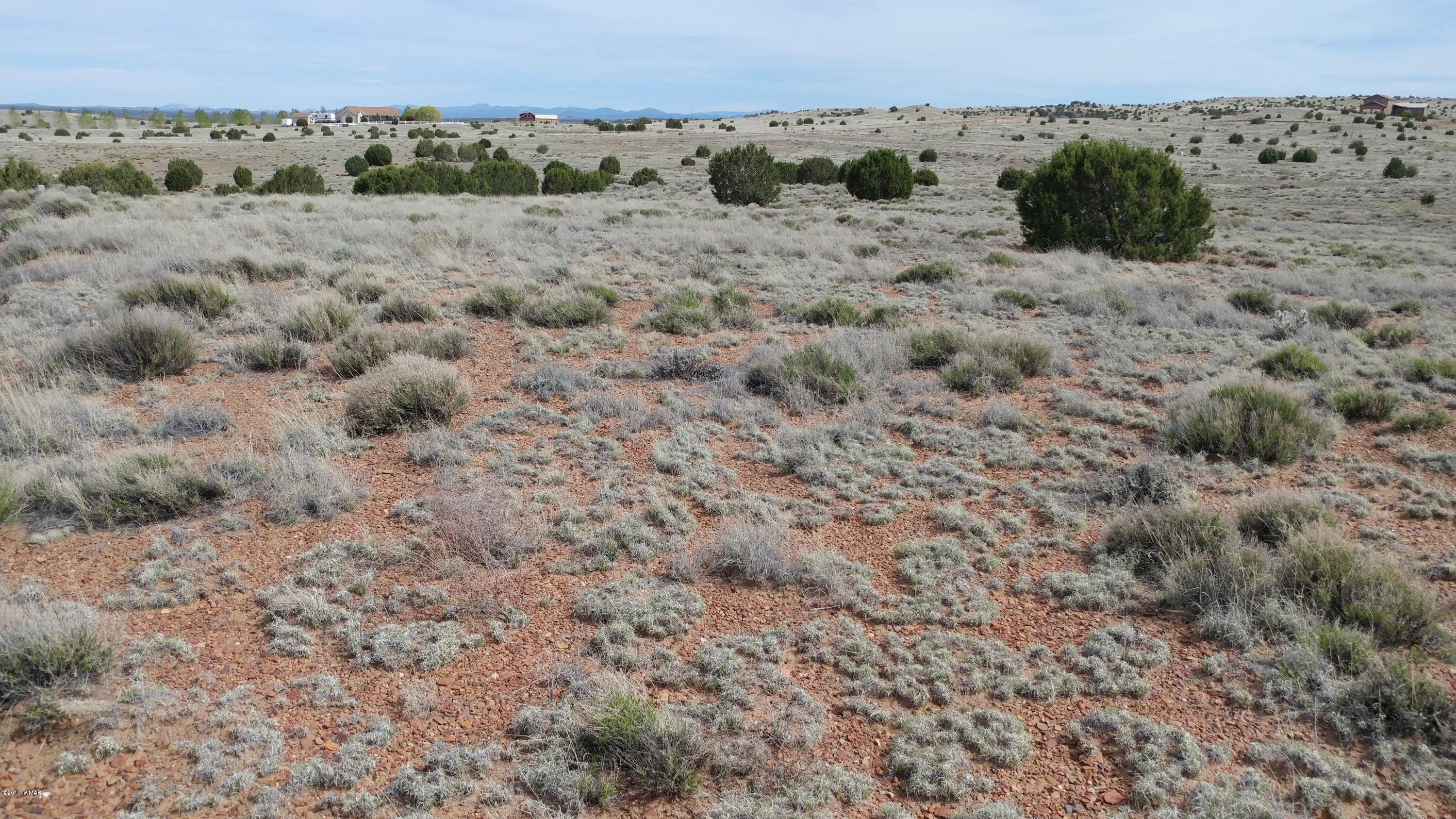 Lot 143 Meadow Way Taylor, AZ 85939 - Photo 5 of 9 an aerial view of beach