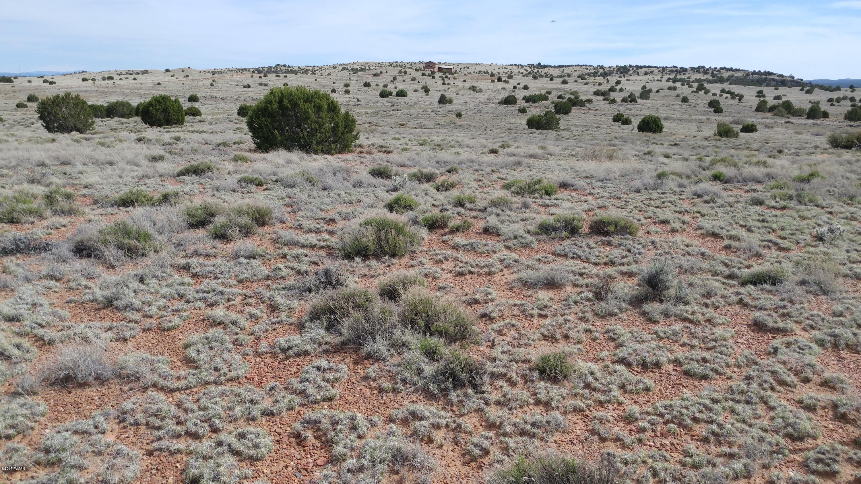Lot 143 Meadow Way Taylor, AZ 85939 - Photo 6 of 9 a view of a dry field with lots of bushes