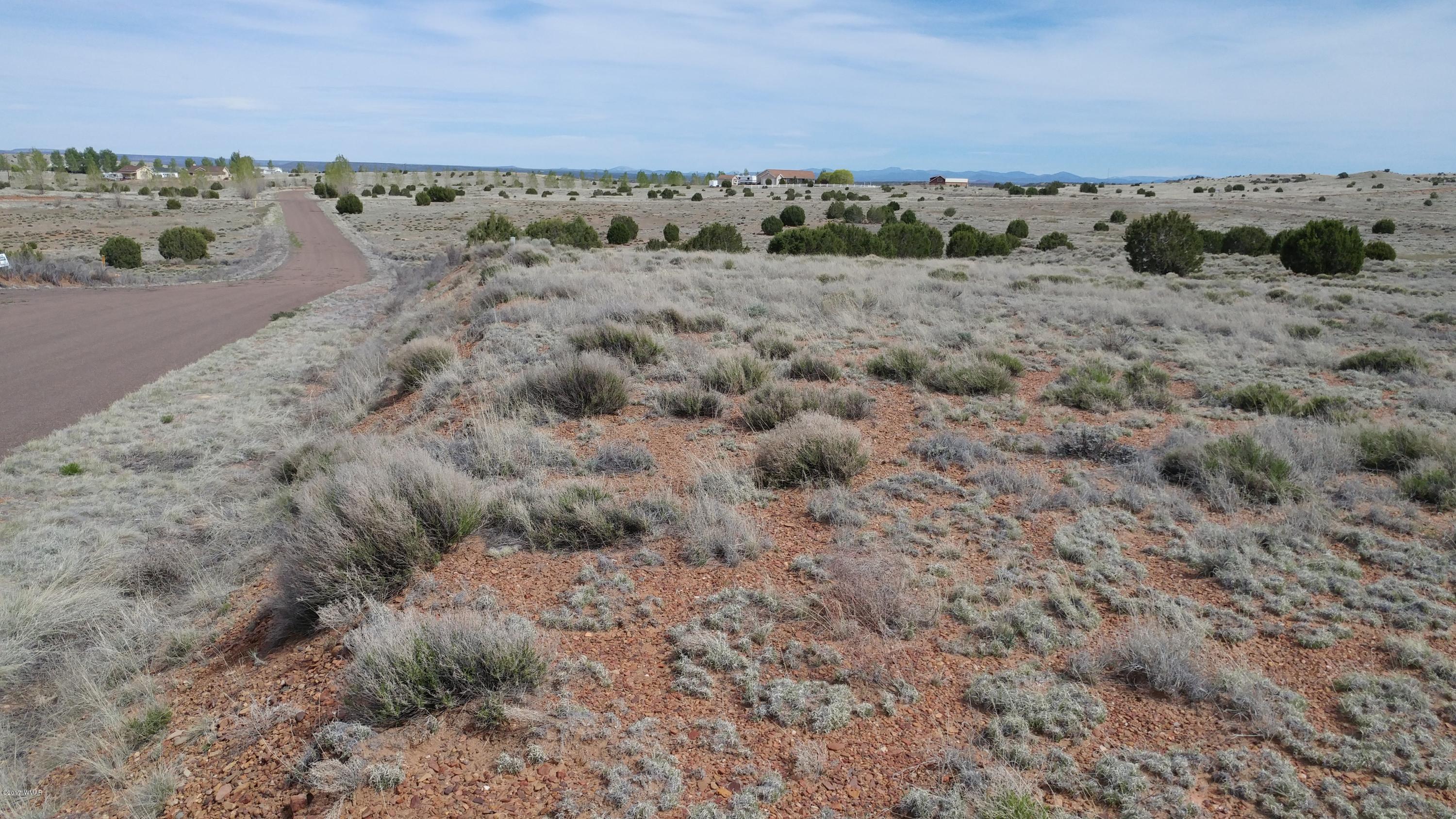Lot 143 Meadow Way Taylor, AZ 85939 - Photo 7 of 9