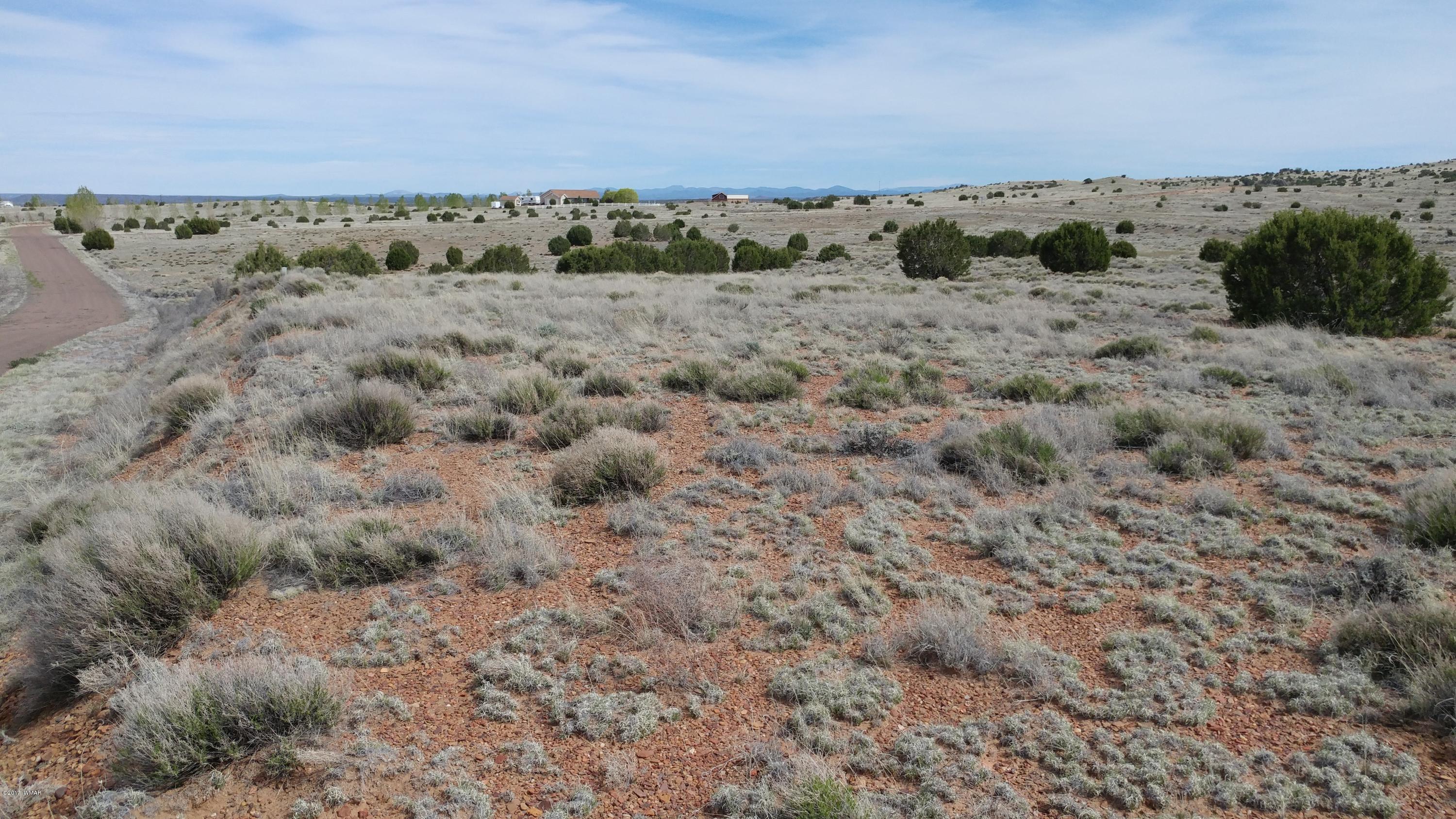 Lot 143 Meadow Way Taylor, AZ 85939 - Photo 8 of 9 a view of an outdoor space and mountain view