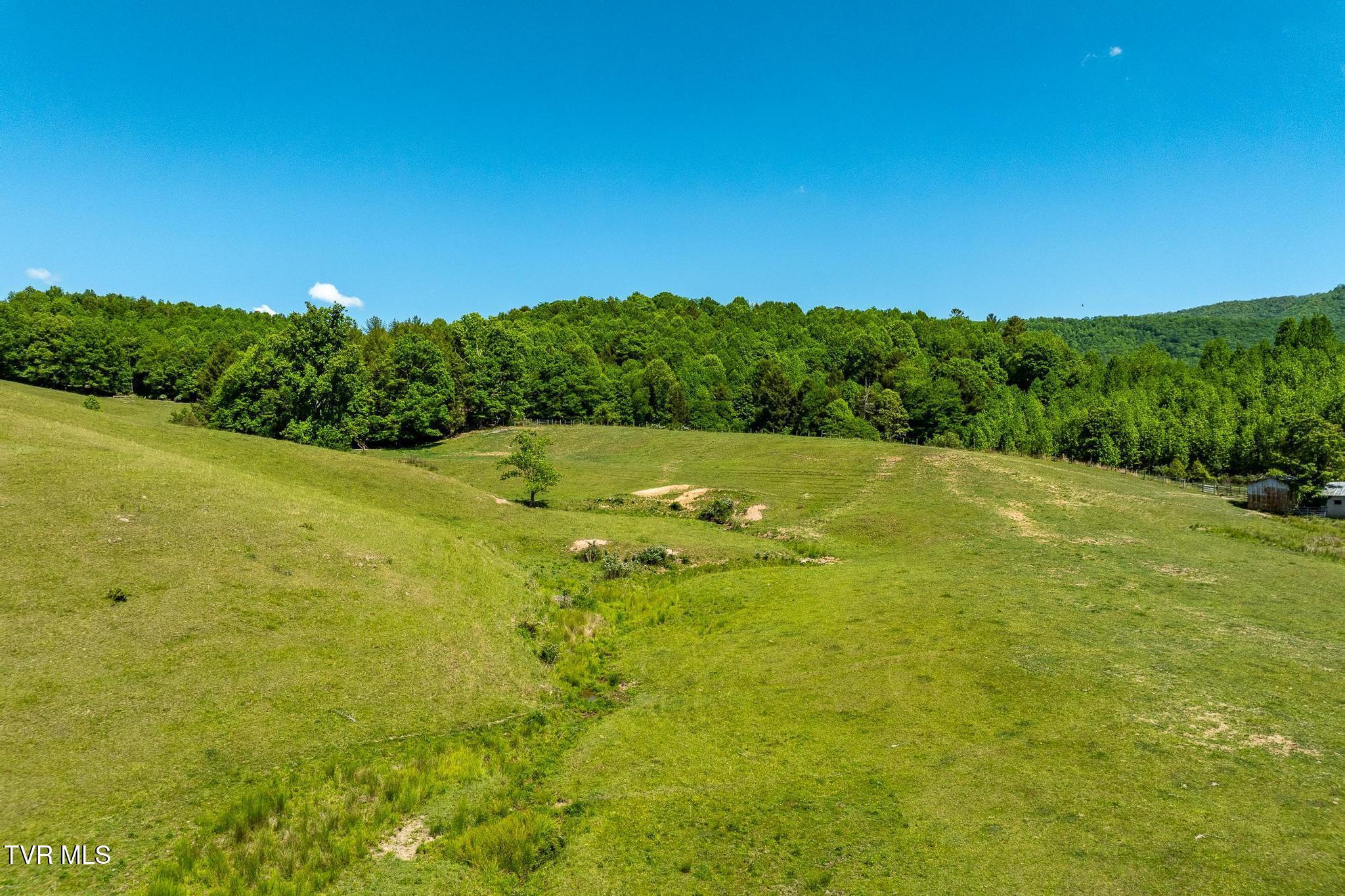 517 Mill Creek Road Mountain City, TN 37683 - Photo 32 of 52 517 Mill Creek Road (35 of 52)