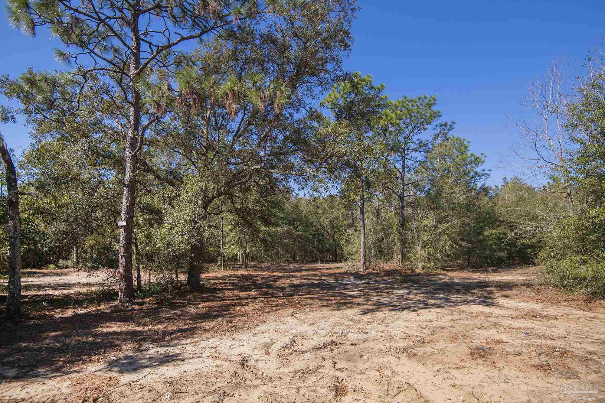 8900-block Manassas Road Milton, FL 32583 - Photo 5 of 7 Gallery Image 5