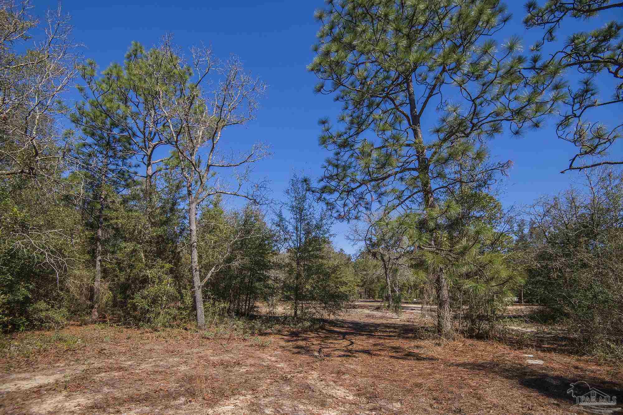 8900-block Manassas Road Milton, FL 32583 - Photo 7 of 7 Gallery Image 7