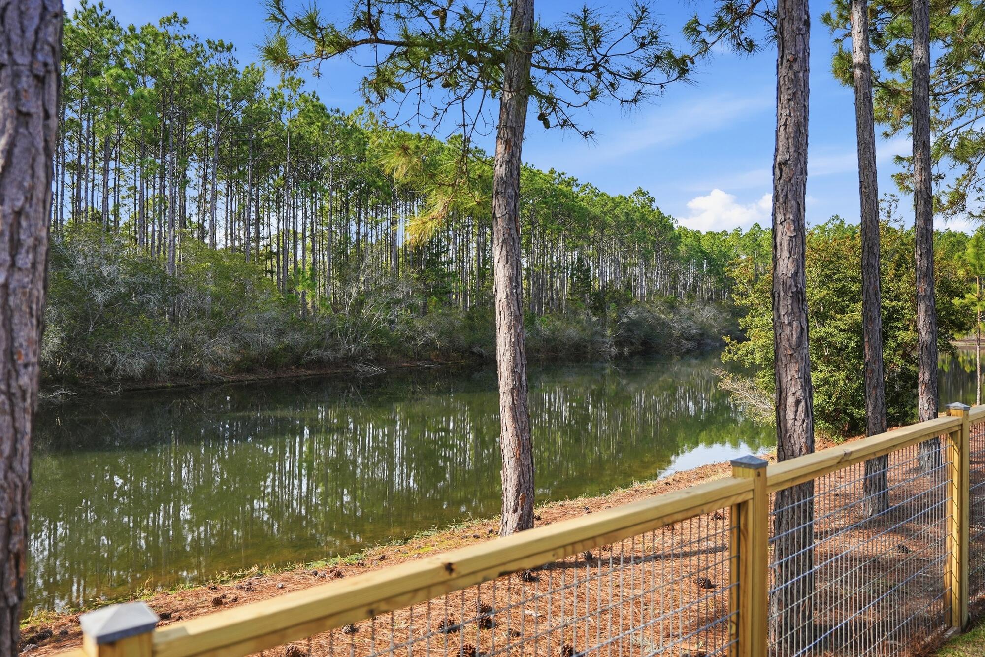 295 Medley Street Inlet Beach, FL 32461 - Photo 19 of 49 Backyard