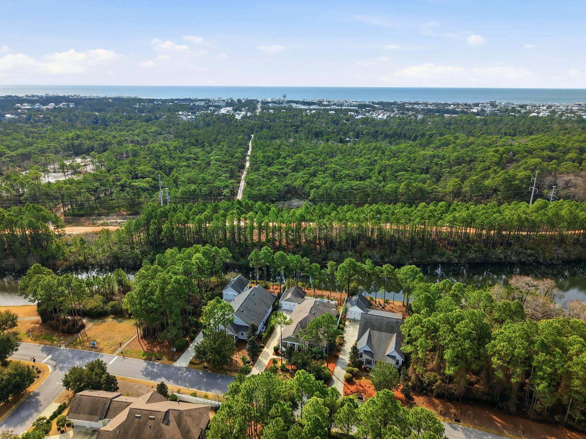 295 Medley Street Inlet Beach, FL 32461 - Photo 21 of 49 Drone