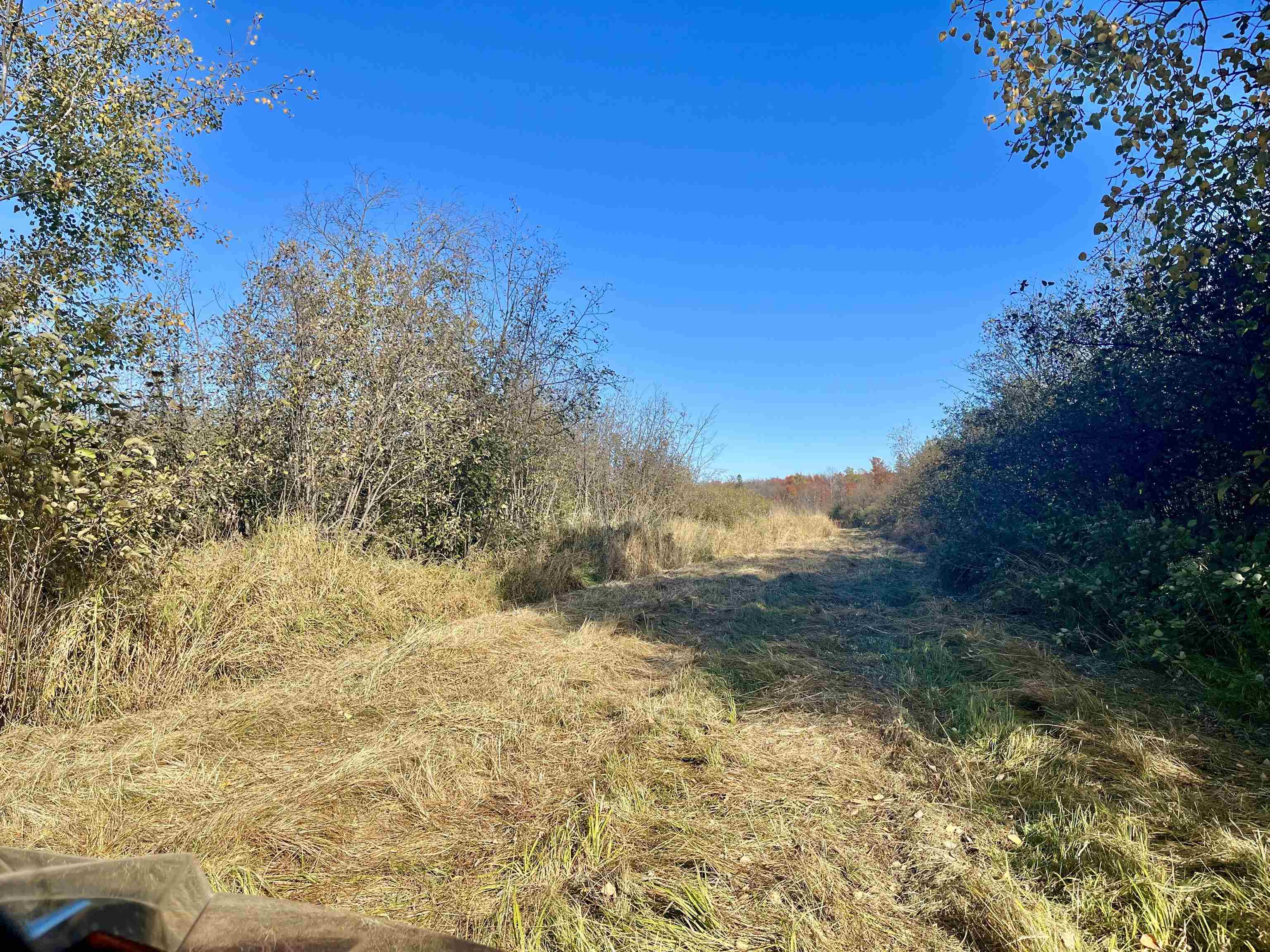 N5104 Pass Road Catawba, WI 54515 - Photo 6 of 31