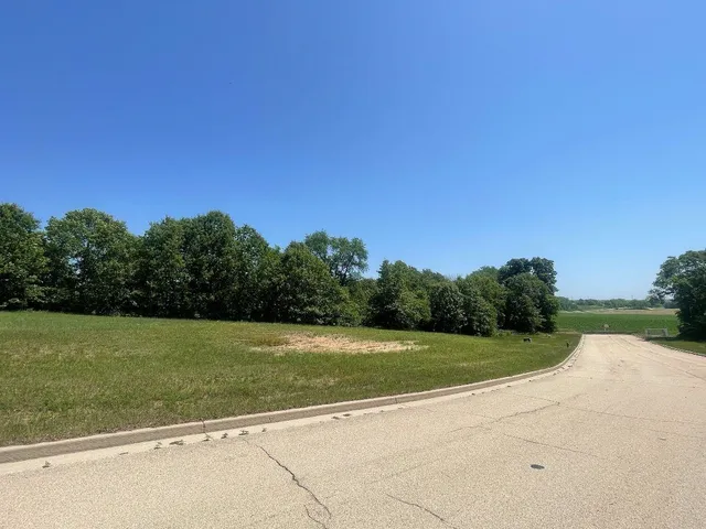 a view of a grassy field with trees in the background