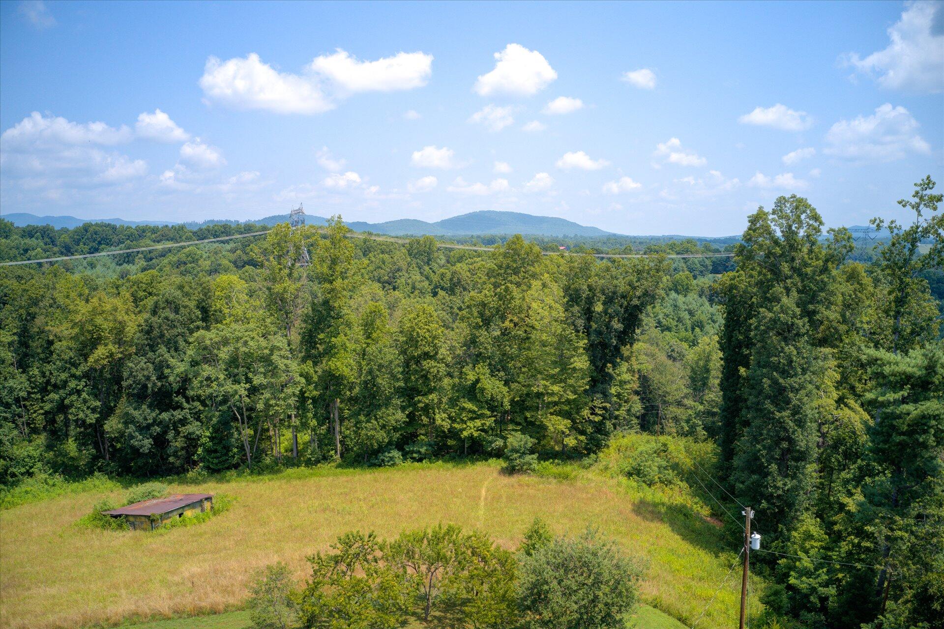 950 Thompson Ridge Road Ferrum, VA 24088 - Photo 27 of 31 a view of a bunch of trees and a yard