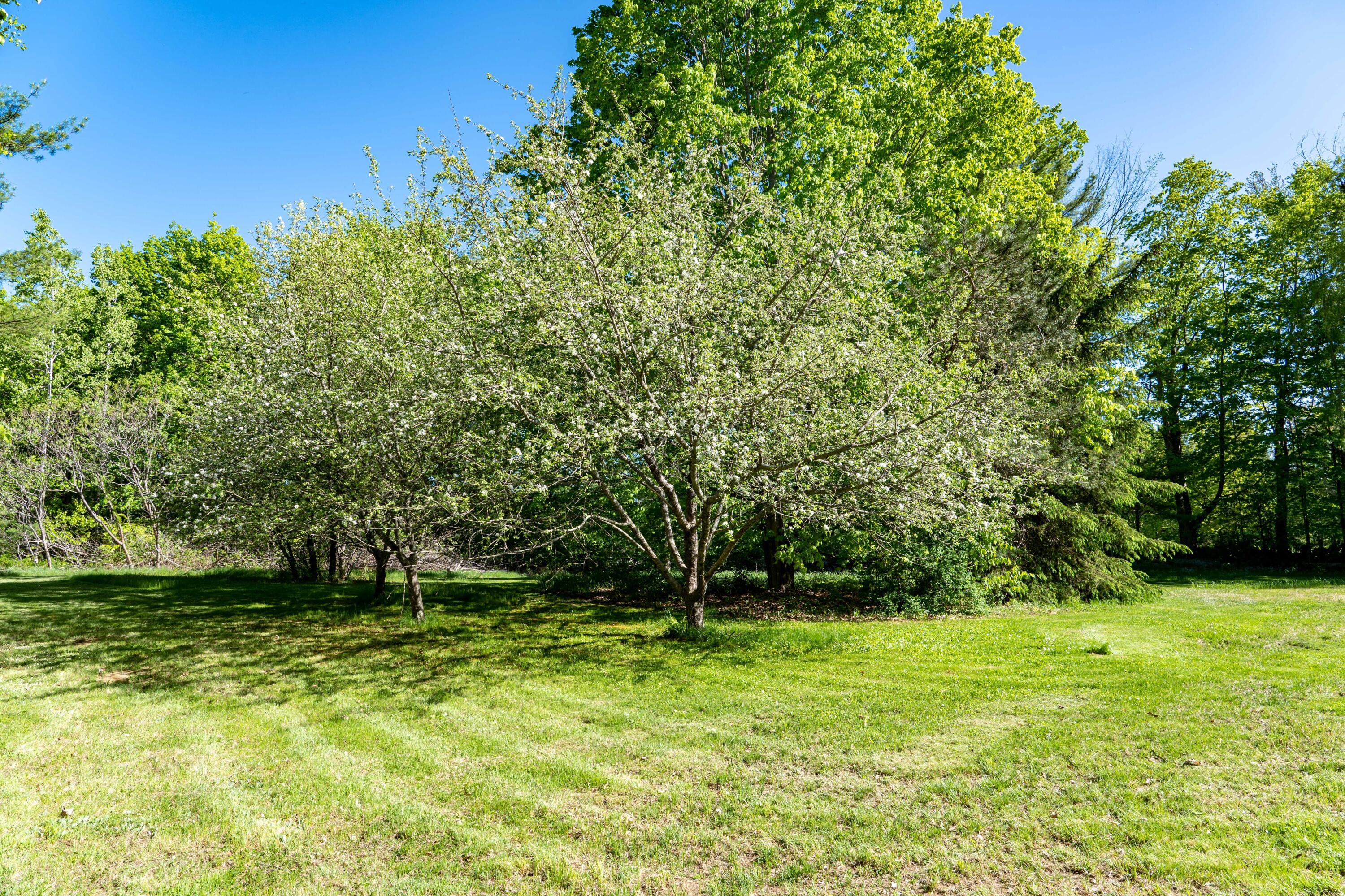 652 Belgrade Road Oakland, ME 04963 - Photo 5 of 38 5