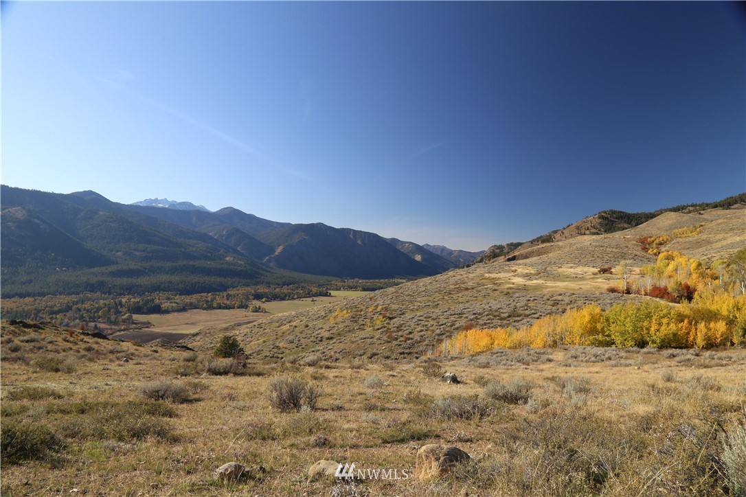 -tbd Spring Grass Road Winthrop, WA 98862 - Photo 1 of 16 Gallery Image 1