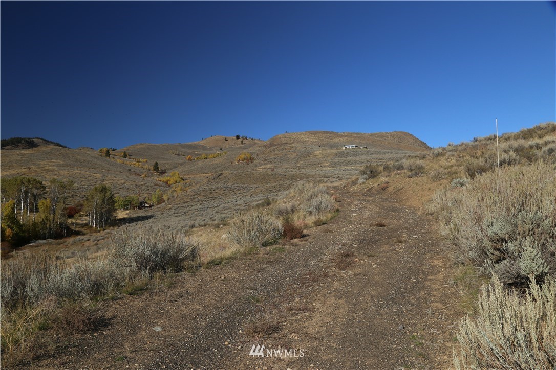 -tbd Spring Grass Road Winthrop, WA 98862 - Photo 13 of 16 Gallery Image 13