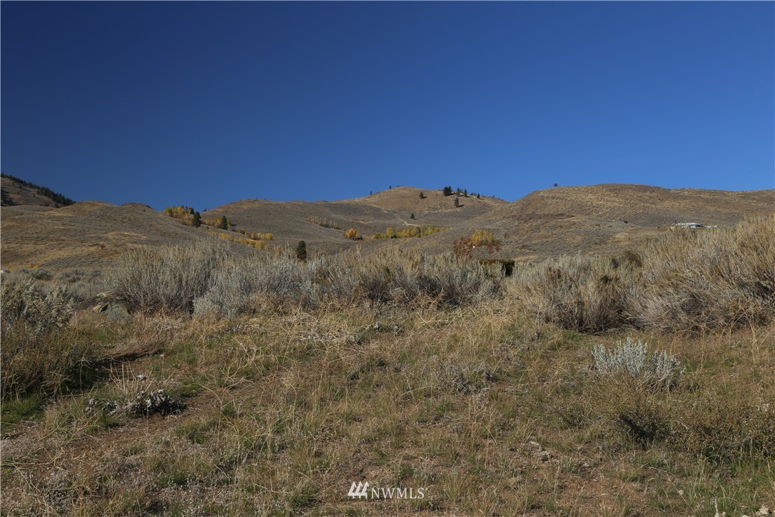 -tbd Spring Grass Road Winthrop, WA 98862 - Photo 14 of 16 Gallery Image 14