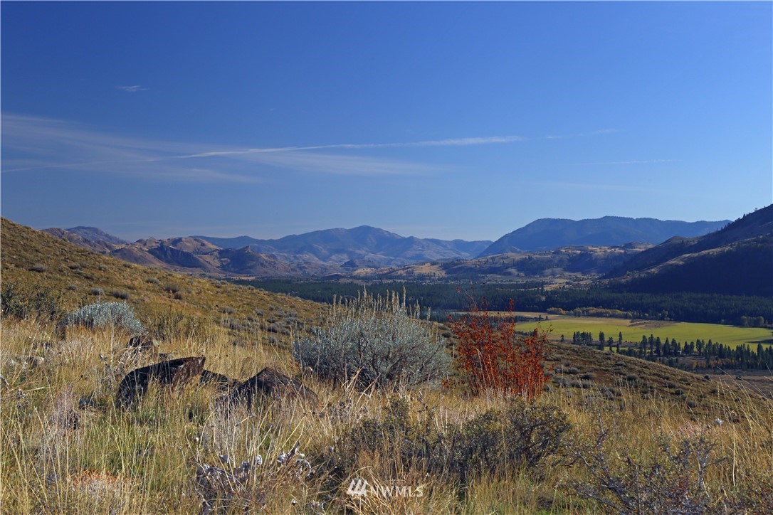 -tbd Spring Grass Road Winthrop, WA 98862 - Photo 4 of 16 Gallery Image 4